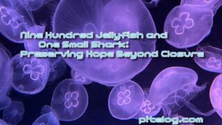 もし子ザメちゃんが閉幕間際の万博のクラゲ館にお出かけしたら