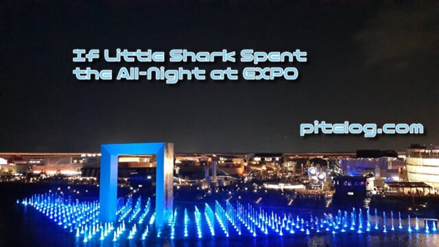 おでかけ小ザメ　オールナイト万博　もし