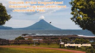 Karukan and Japanese Green Tea: Discover Kagoshima’s Gentle Wagashi Culture
