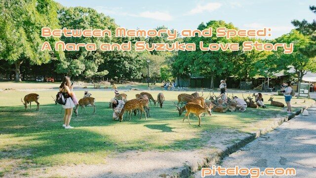 奈良公園　平城宮跡　鈴鹿サーキット　グルメデート