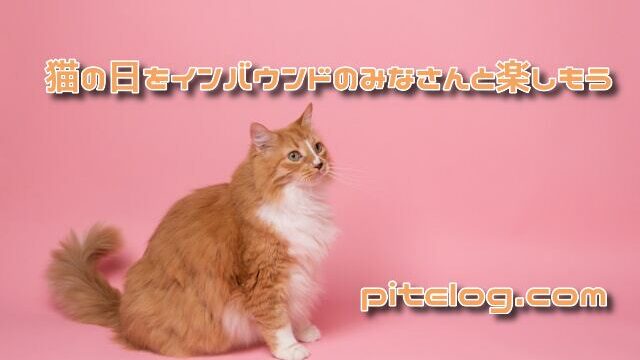 猫の日をインバウンドのみなさんと楽しもう