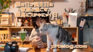 猫の日が誕生日の家族と過ごす最高に素敵な1日